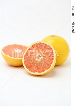 グレープフルーツ 64019819