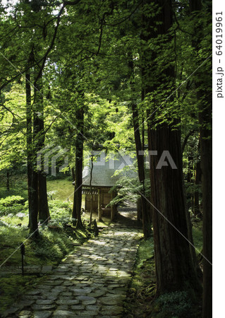 滋賀県、湖東三山の百済寺の仁王門と石畳の参道の風景 64019961