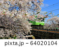 奈良・佐保川の桜と電車 64020104