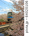 奈良・佐保川の桜と電車 64020106