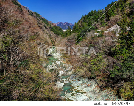 早春の三波石峡 64020393