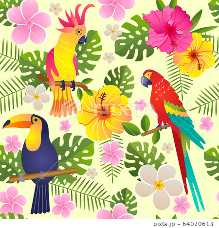 toucan and parrot sits on a flowering branch vector illustration seamless pattern 64020613
