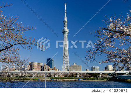東京スカイツリー 64020671