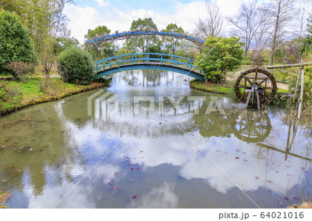 レッドヒルヒーサの森 64021016