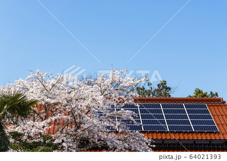 エコハウス＿太陽光パネルと桜と空 64021393