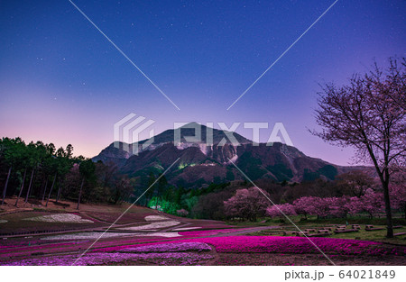 羊山の芝桜と星景 羊山の芝桜と星景 64021849