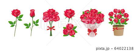 ばら　花　花束　バラ　植物　ベクター　イラスト　ブーケ　セット 64022138