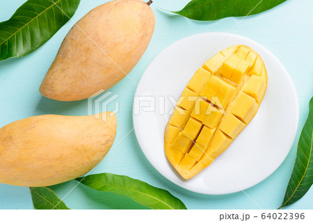 Ripe mango fruit sliced to cubes on white plate and leaf on pastel color background, tropical fruit, top view 64022396