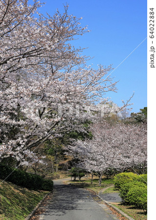 ときわ公園_春 ときわ公園_春 64022884