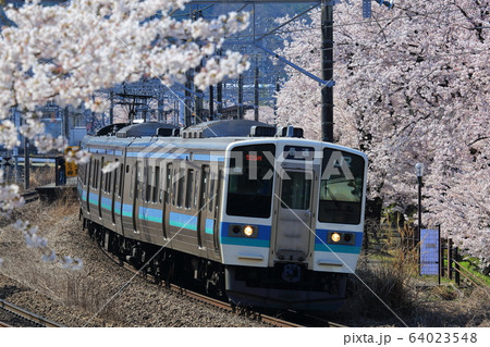 211系　桜　勝沼ぶどう郷 64023548