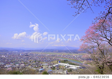 桜　宮城　船岡城址公園より展望 64023656