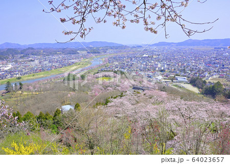 桜 宮城 船岡城址公園より展望 桜 宮城 船岡城址公園より展望 64023657