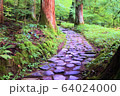 滝尾古道の石畳 64024000