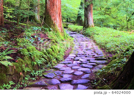 滝尾古道の石畳 64024000