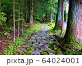 滝尾古道の風景 64024001