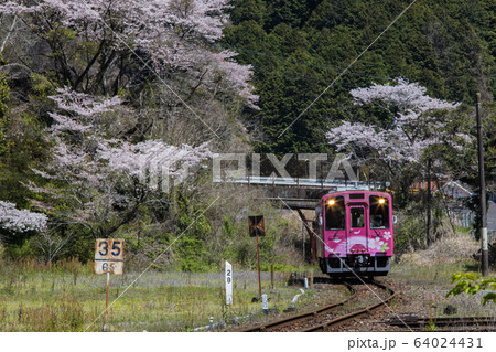 「山口県岩国市」錦川清流線 「山口県岩国市」錦川清流線 64024431