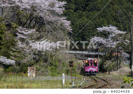「山口県岩国市」錦川清流線 64024439