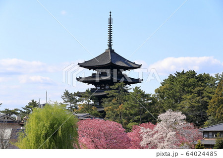 興福寺五重塔 64024485