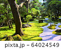 鎌倉「報国寺」の庭園 64024549
