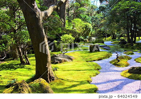鎌倉「報国寺」の庭園 鎌倉「報国寺」の庭園 64024549
