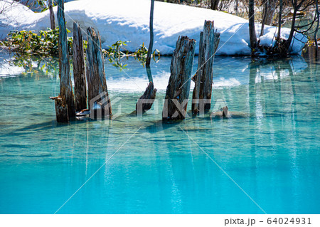 透明な青のはじまり 透明な青のはじまり 64024931