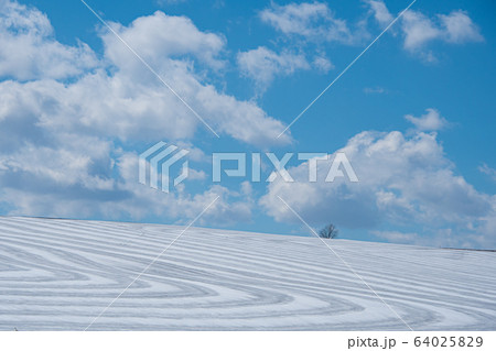 春先美瑛 64025829