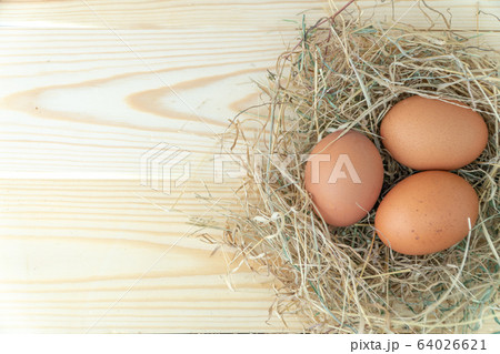 Fresh brown chicken eggs in hay nest on blue Fresh brown chicken eggs in hay nest on blue 64026621