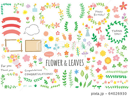 花や葉っぱの手描きイラストセット（カラー） 64026930