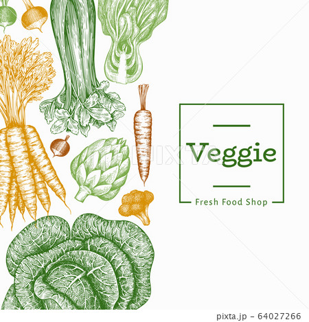 Hand drawn sketch vegetables design. Organic fresh Hand drawn sketch vegetables design. Organic fresh 64027266