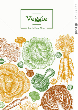 Hand drawn sketch vegetables design. Organic fresh Hand drawn sketch vegetables design. Organic fresh 64027268