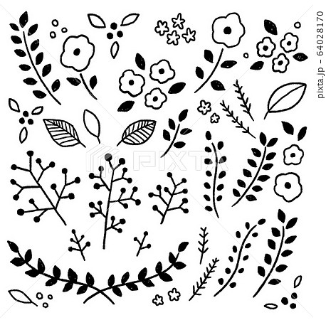 手書きの植物 お花 モノクロのイラスト素材