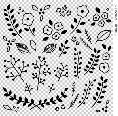 手書きの植物 お花 モノクロのイラスト素材