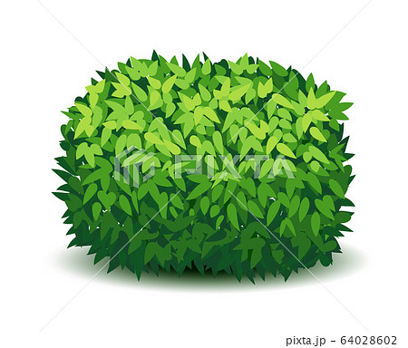 Vector Garden Bush Isolated Shrub Hedge Green のイラスト素材