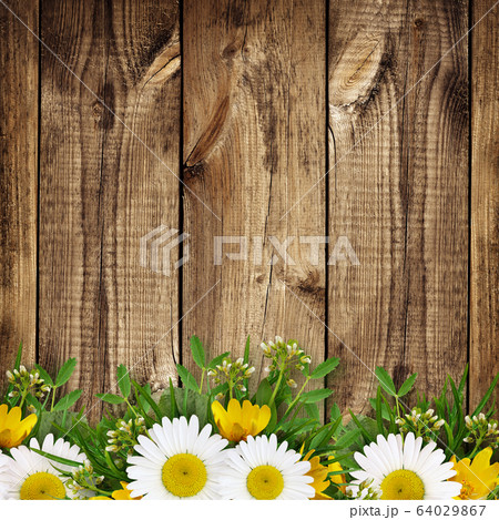 Summer wild flowers edge 64029867