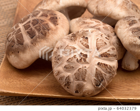 シイタケ 生どんこ シイタケ 生どんこ 64032379