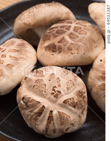 シイタケ 生どんこ シイタケ 生どんこ 64032387