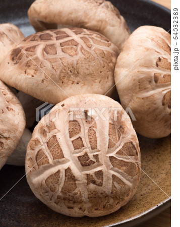 シイタケ　生どんこ 64032389