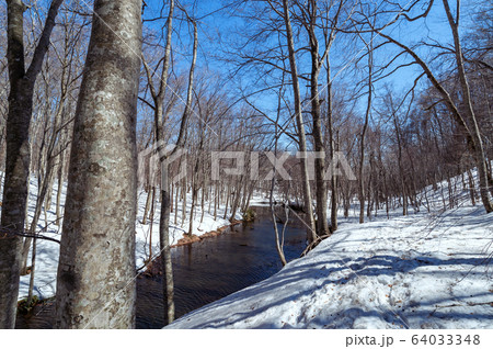 【青森県十和田市】残雪の蔦沼めぐり自然研究路 64033348