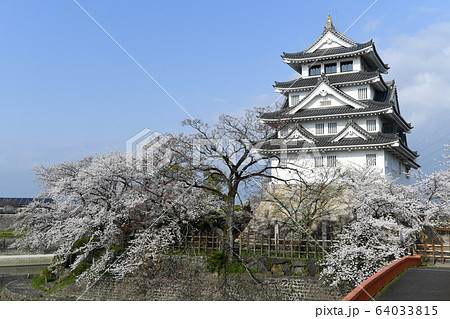 墨俣城と桜 64033815