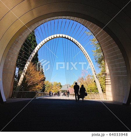 MIHOミュージアム 64033948