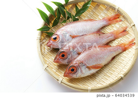 のどぐろ10 64034539