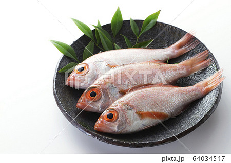 のどぐろ18 のどぐろ18 64034547