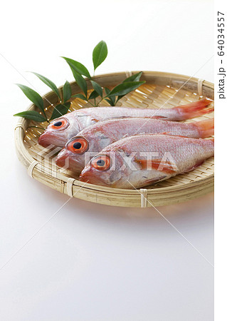 のどぐろ4 のどぐろ4 64034557