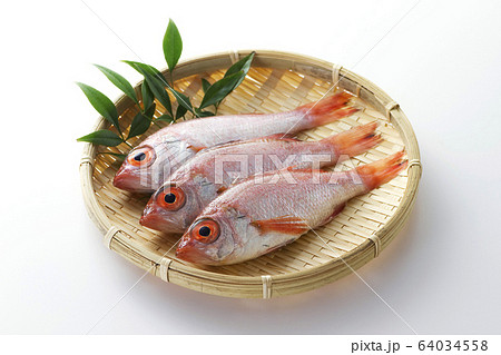 のどぐろ5 64034558