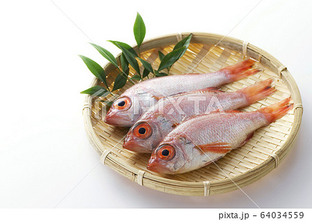 のどぐろ6 64034559