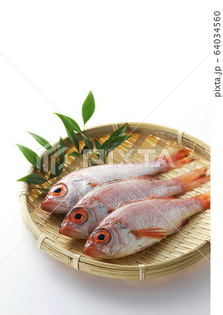 のどぐろ7 64034560