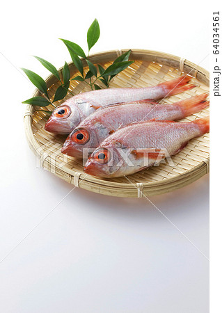 のどぐろ8 64034561