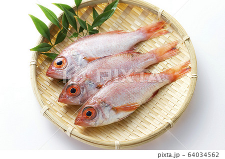 のどぐろ9 のどぐろ9 64034562