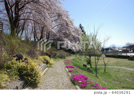 台ヶ原宿 ほたる親水公園 (山梨県 北杜市 白州町) 台ヶ原宿 ほたる親水公園 (山梨県 北杜市 白州町) 64036291