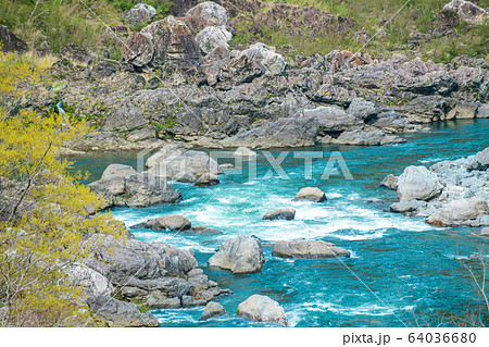 仁淀川 仁淀川 64036680